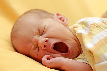 Bebê recém-nascido bocejando (definição 4 035 × 2 690)