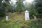 Židovský hřbitov (Rokytnice v Orlických horách)1.JPG