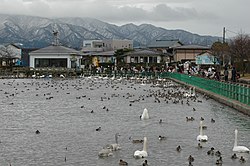 Hyōjärvi talvella