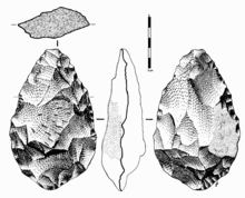 Drawing of Acheulean handaxe from Spain from front, back, side, and top profile Acheulean handaxe.png