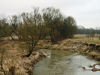 Река Анчя у деревни Батакяй
