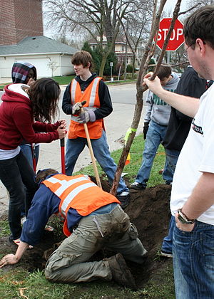 Arbor Day