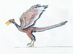 Archaeopteryx