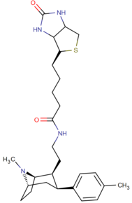 Биотиновая боковая цепь bi-cyclopentane phenyltropane.png