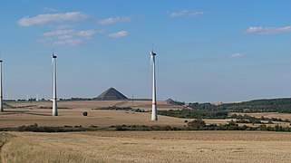 auf freiem Feld,