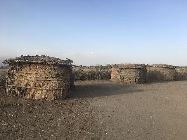 Les Maasaï, semi-nomades, érigent des constructions en bouses (boma) ; destinées à un campement provisoire, elles sont souvent brûlées lorsque le groupe se déplace.