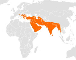 Distribución de C. aureus