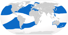 Range of the basking shark