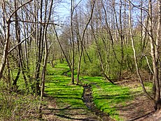 Pobliska dolina rzeczki Drwinki wiosną, widziana z mostku, łączącego ulice Facimiech i Podlesie