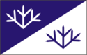 Vlag van de gemeente Vasalemma
