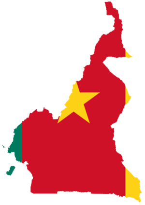 Flag-map of Cameroon