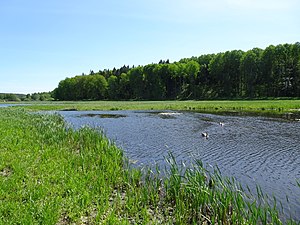 Dammar för kvävereningen.