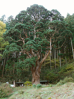 Aomori prefektúrában, Fukaura városa mellett