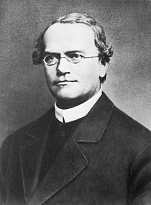 Gregor Mendel, "father of modern genetics". Gregor Mendel 2.jpg