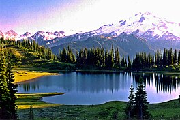 A small lake surrounded by meadows and trees with a large white mountain in the background