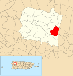 Location of Juncal within the municipality of San Sebastián shown in red