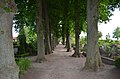 Kühlungsborn, Schlossstraße, Allee auf dem Friedhof