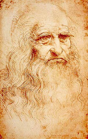 Self-portrait of Leonardo da Vinci. Red chalk....
