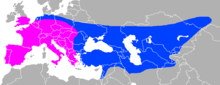 Approximate ranges of pre-Neanderthal (H. heidelbergensis) and early Neanderthal (purple) and of classical and late Neanderthal (blue). Neanderthal Range.png
