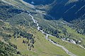 Pascoli montani in Alta Savoia (Francia).