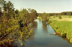 A Łupawa Stoicino mellett