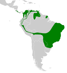 Distribución geográfica del picoplano bigotudo (incluyendo el grupo albogularis).