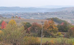 Panoramă dinspre Goila