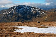 Red Screes seen from Cauldale Moor. Notice the unnamed cove below the summit.