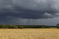 Reggewolke Regenwolken boven Torsö (Zweden)