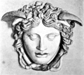 Lám. VI Medusa.