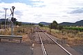Looking west along the railway line towards Sandy Hollow from level crossing on Bylong Valley Way