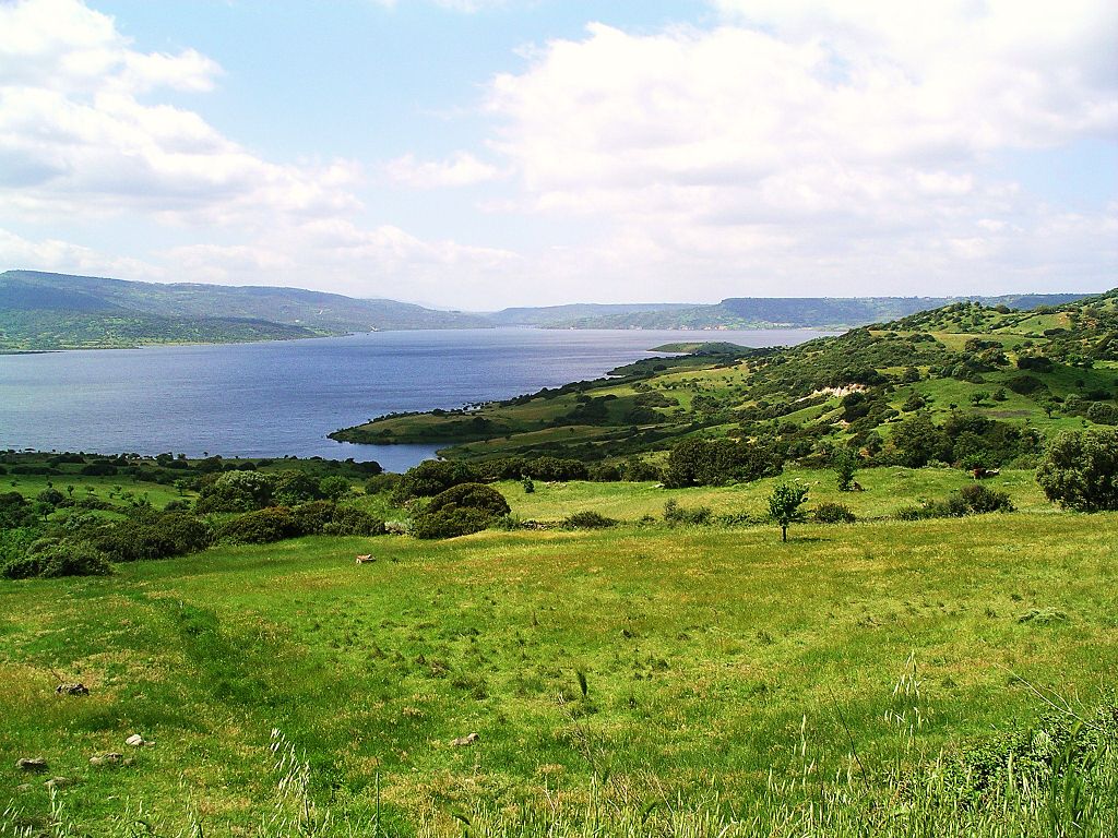 Picture showing the interior of Sardinia where green rolling hills and blue clouded skies overlook a large lake reservoir