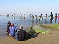 Tenmpiamas užtvarinis tinklas (Senegalas)