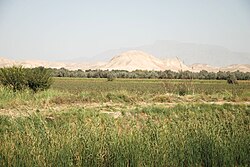Shahritus (Shaartuz), 4 km west cotton field