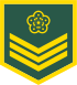 Taiwan-army-OR-3.svg