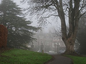 English: The Woodside Hotel and the big tree