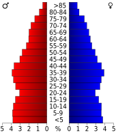 Bevolkingspiramide Benton County