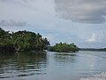 Costa de manglares de Yap