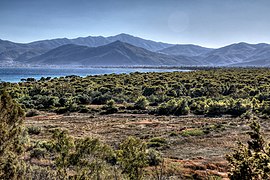 Lac de Stómi asséché, forêt et Pentélique en arrière-plan.