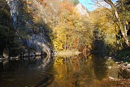 Reflets des rochers de Sy dans l'Ourthe