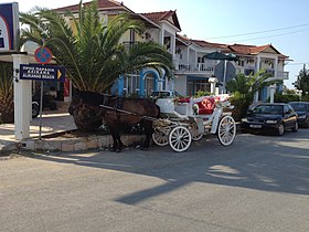 Zakynthos attelé à Alikes