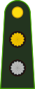 Аргентина-Армия-OF-1a.svg