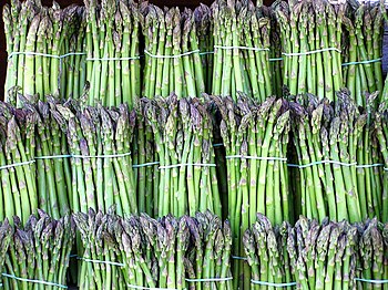 English: Asparagus bundled