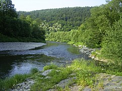 Bečva River (CZE).jpg