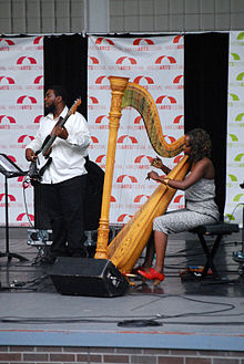 Younger at the Harlem Arts Festival in 2013