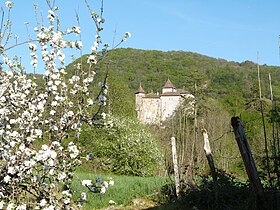 Image illustrative de l’article Château de Coiselet