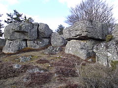 Caos de bloques en el este de los montes d'Aubrac del Macizo central (Francia), región rica en formaciones de este tipo. Las largas diaclasas rompen la roca en bloques.