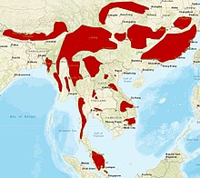 Clouded-leopard distribution.jpg