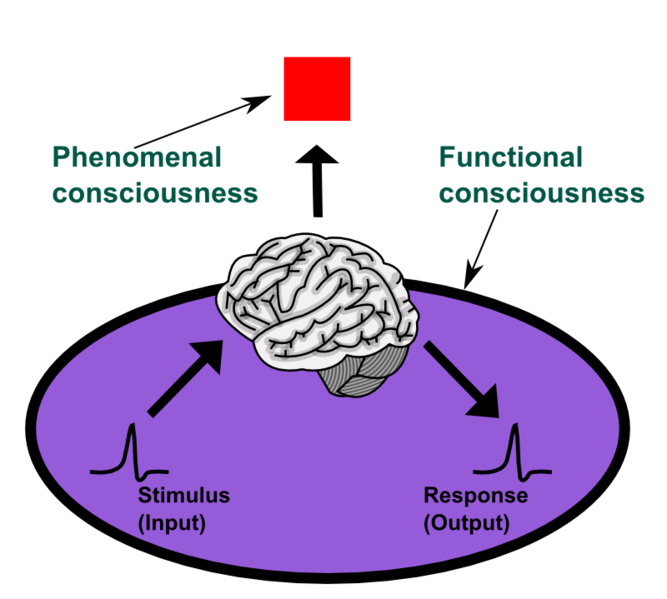 consciousness quotes. Chalmers opens The Conscious