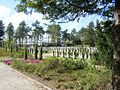 Sachgesamtheit Sowjetischer Ehrenfriedhof; Garnisonfriedhof gefallener Kämpfer der Sowjetarmee; Garnisonfriedhof Dresden